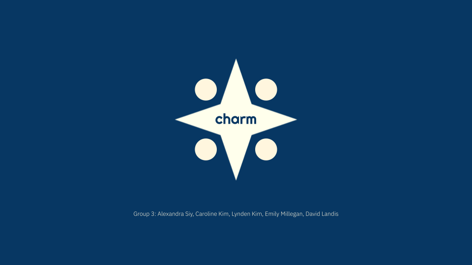 Charm project slide